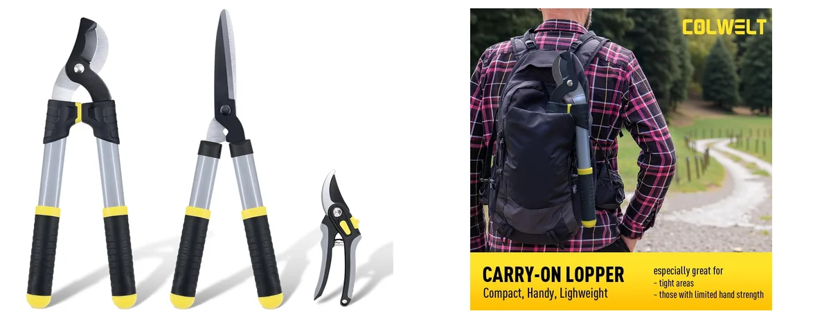 Colwelt Traditional images