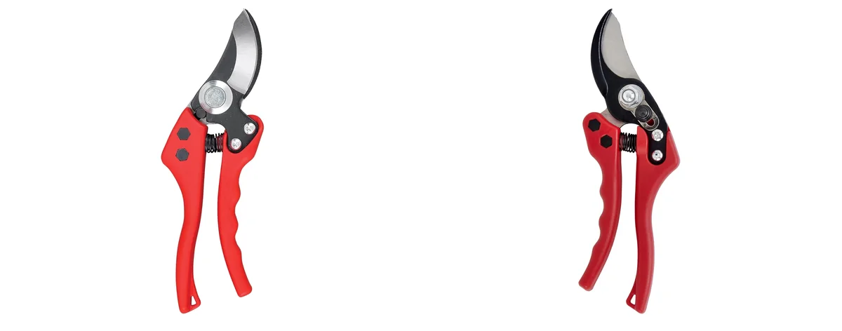 Corona Bypass images