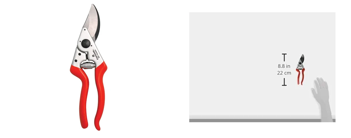 Corona Bypass images