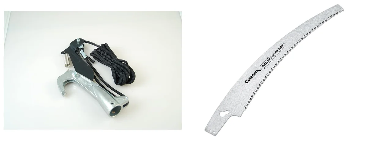 Corona Classic images