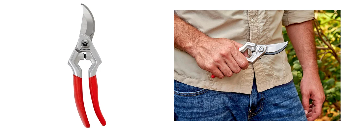 Corona Classic images