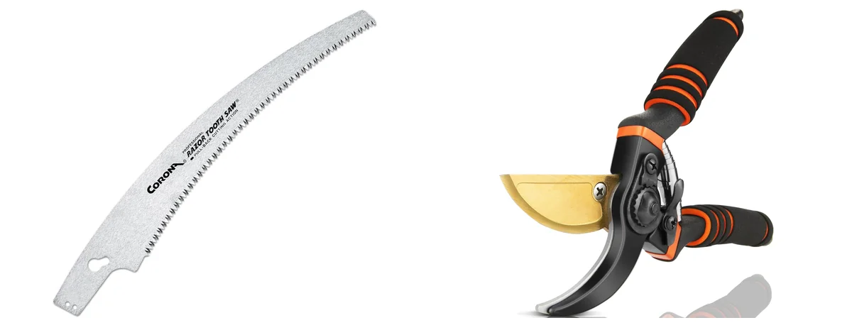 Corona Modern images