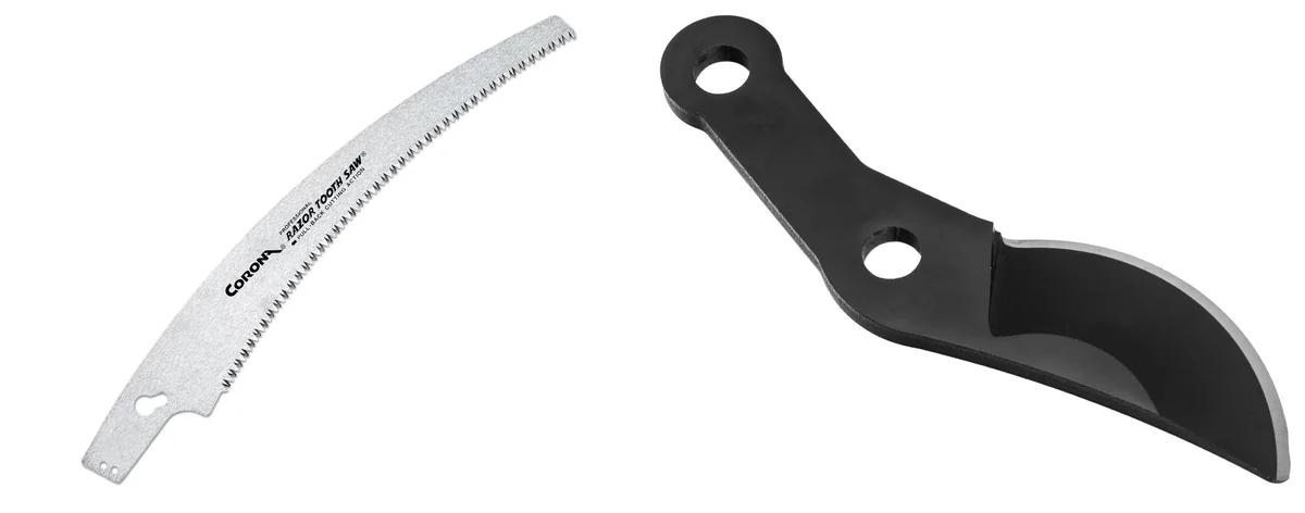 Corona Modern images