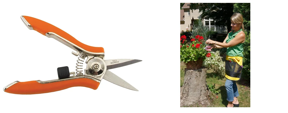 Dramm Classic images