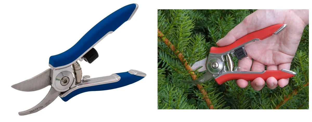 Dramm Traditional images