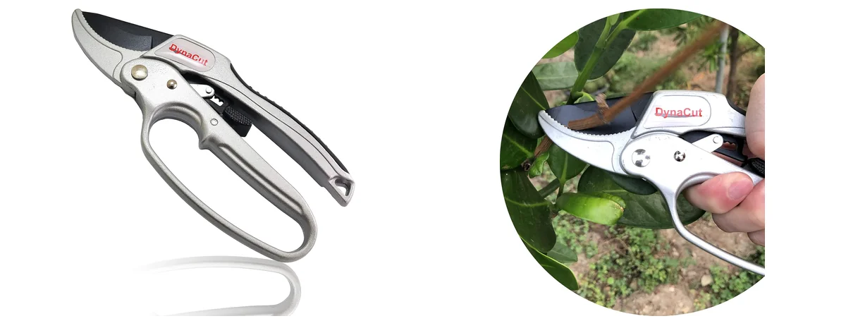 DYNACUT Modern images