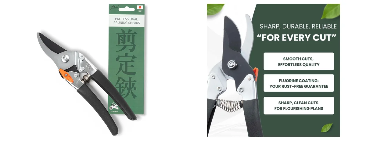 forest Originals Japanese images