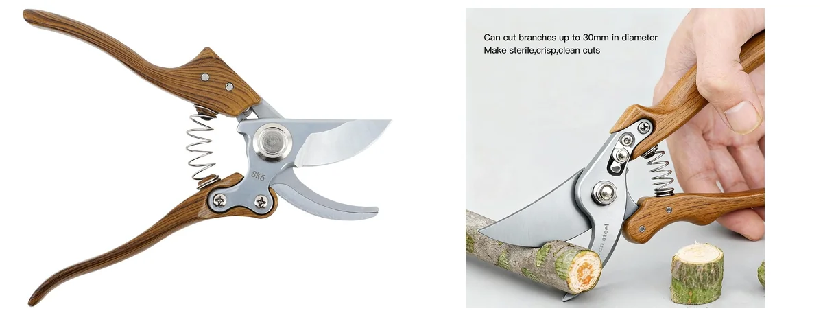 Garvee Classic images