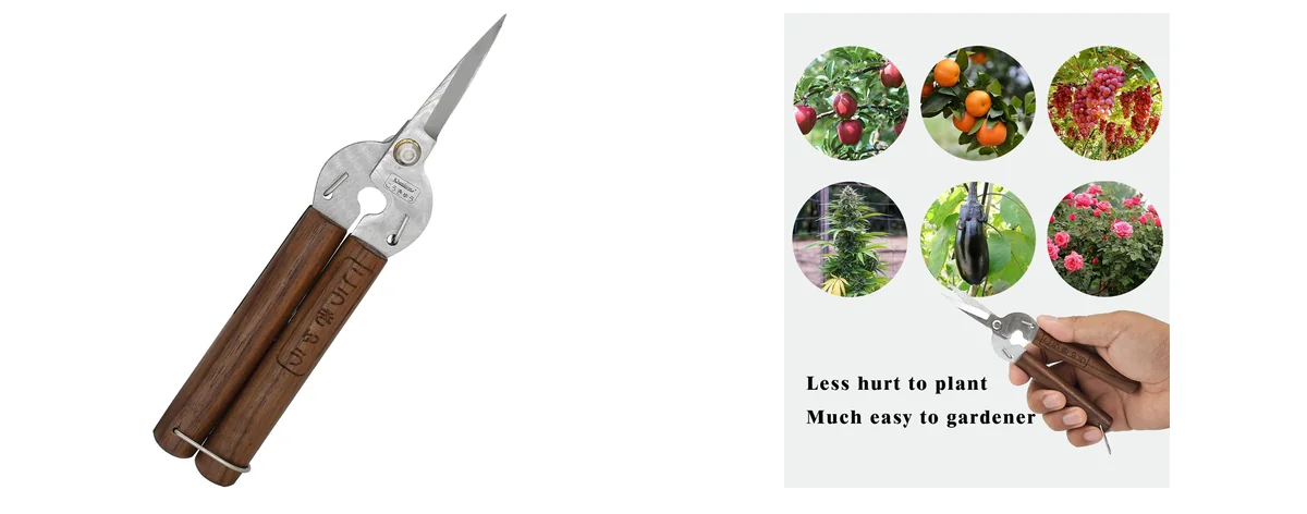 Kbenison Contemporary images