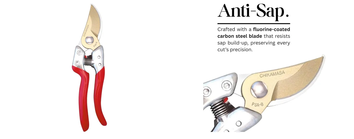 近正 Professional images