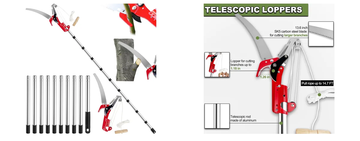 QNFANN Contemporary images