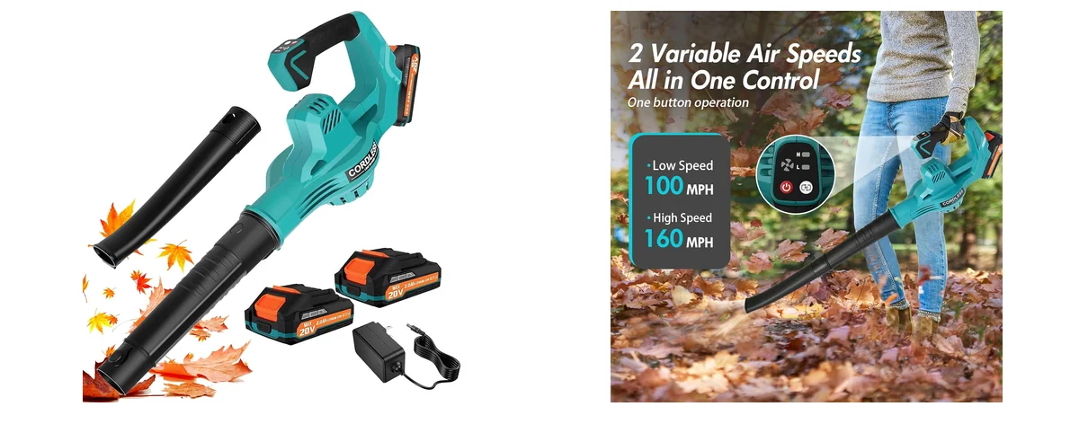 RAXONE Leaf Blowers images