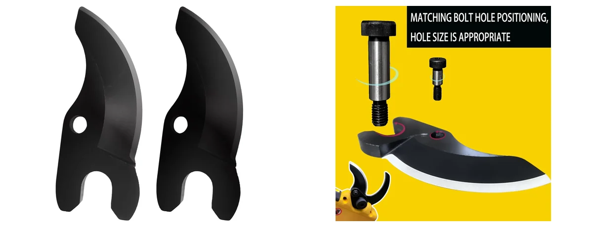 Sparkfix Modern images