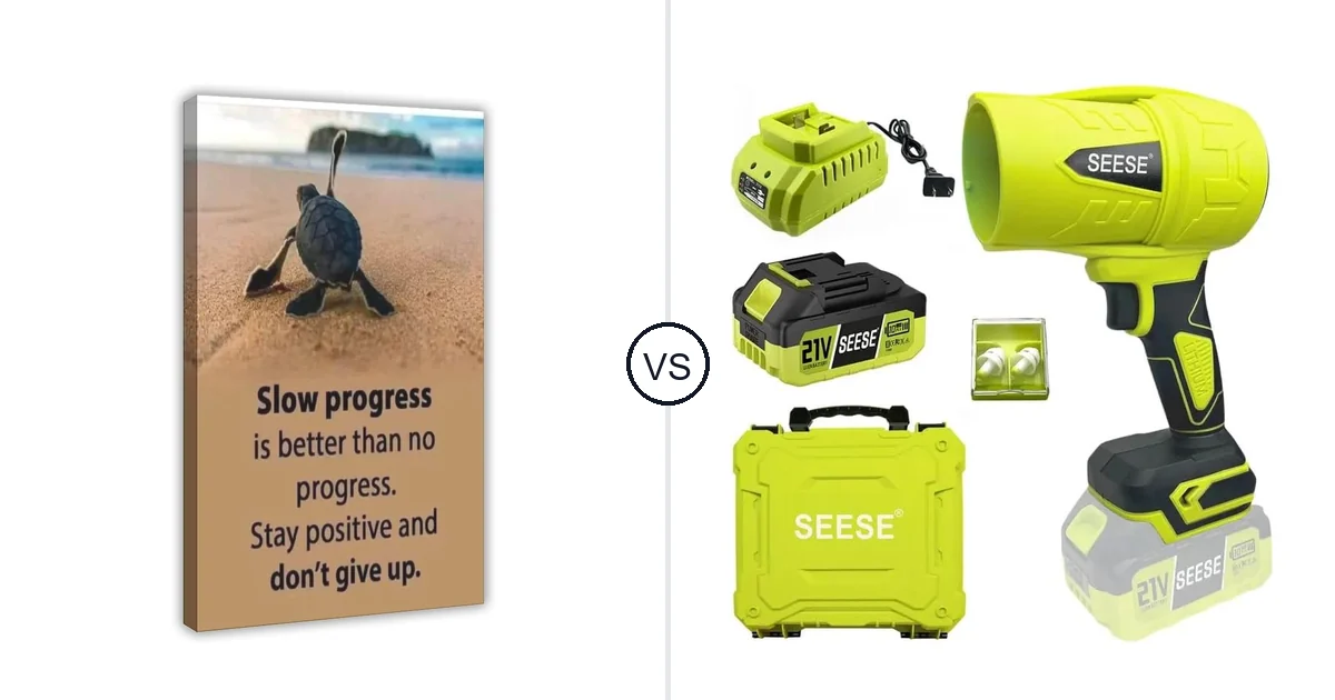 Motivational ‘Slow Progress vs SEESE MT5S2P: Which Should You Buy?