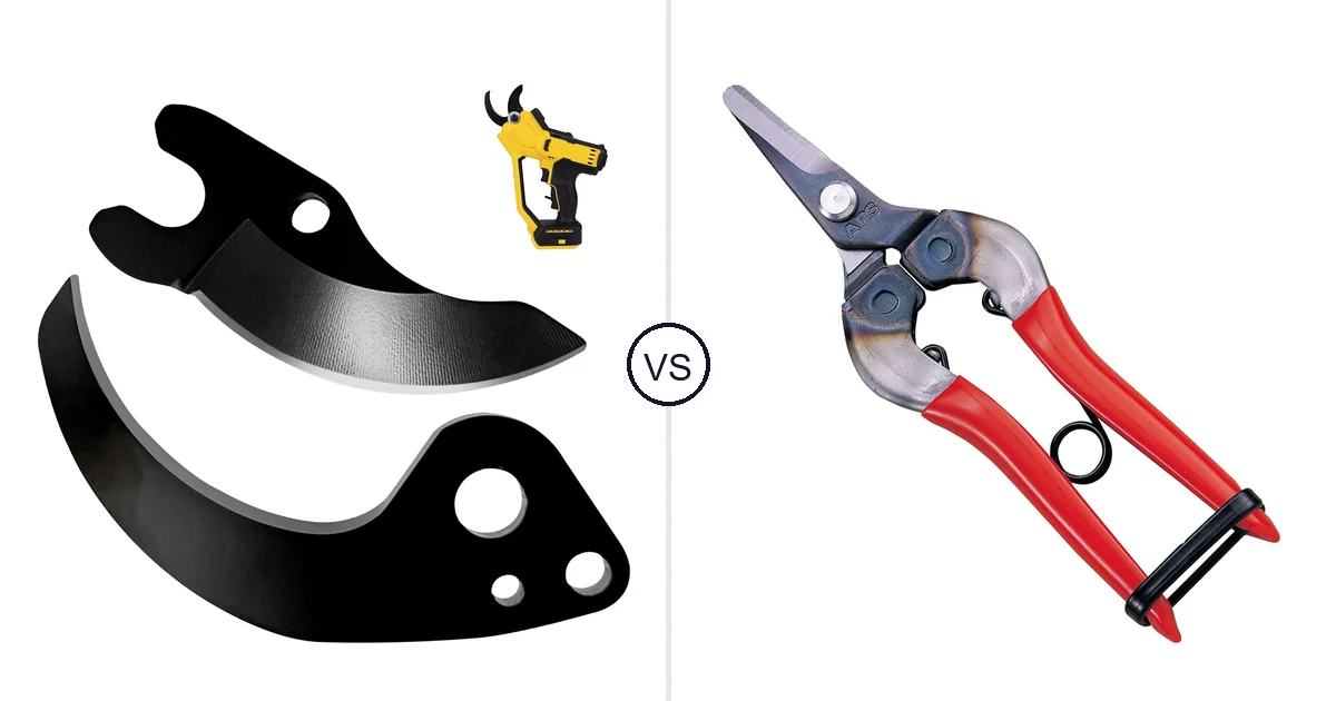 Showingo N920015 vs ARS Classic: Which Should You Buy?