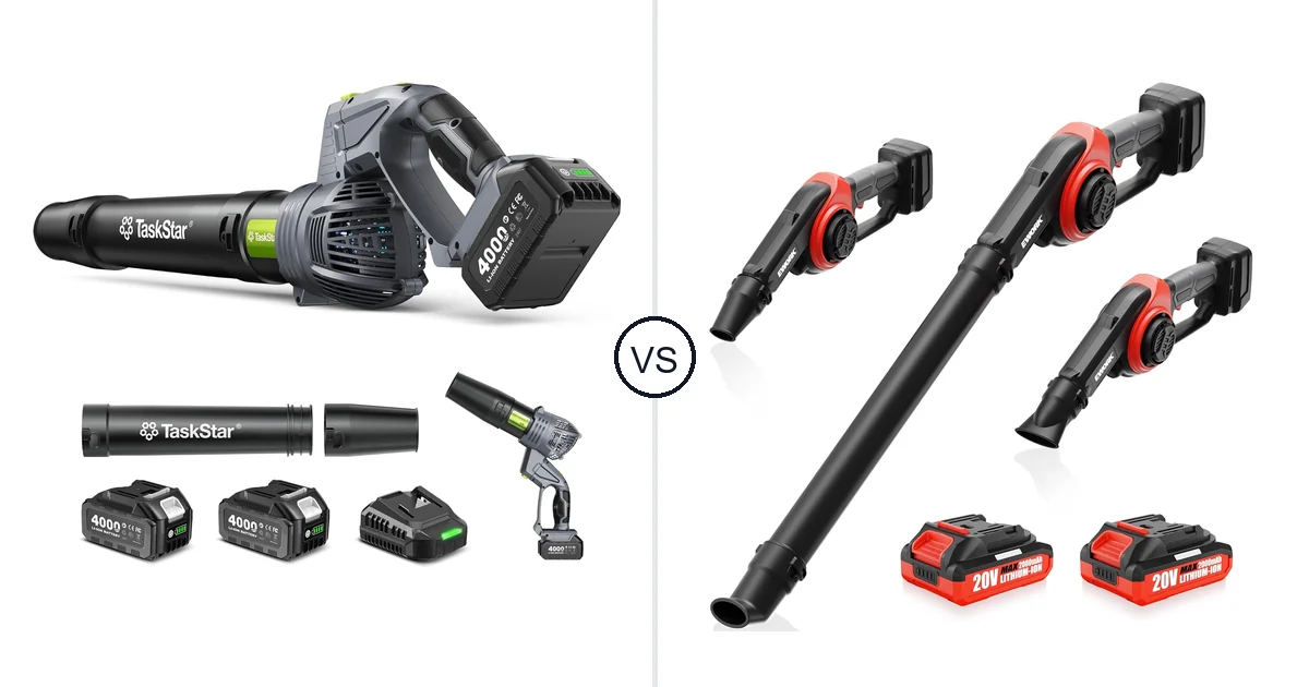 Comparison of TaskStar Cordless Rotary Leaf Blower and EWORK EK-DLB21A-2MR