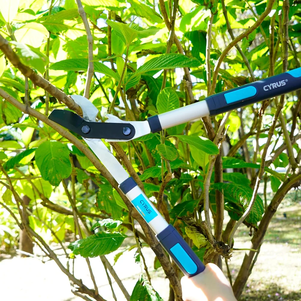 CYRUS Loppers-1