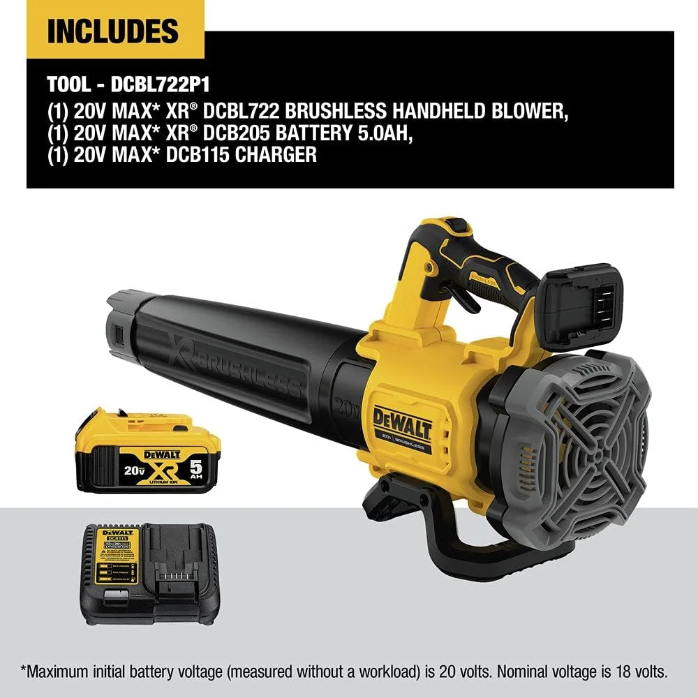 DEWALT DCBL722P1
